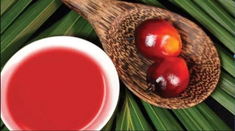 Organic Red Palm Oil